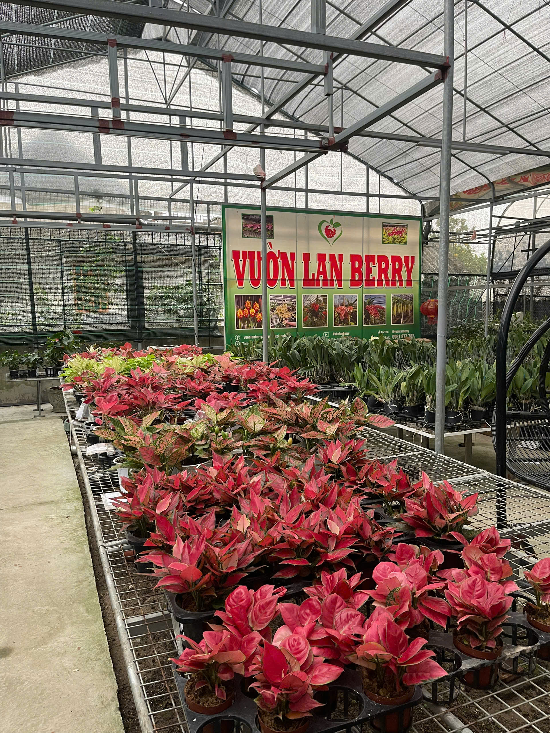 Hợp tác xã nông nghiệp Minh Hồng Xanh